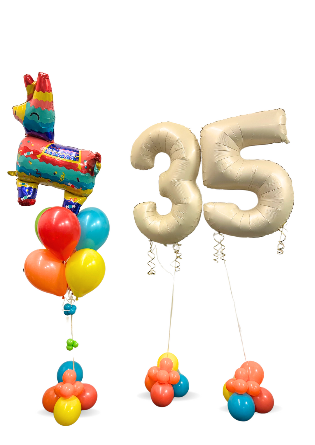 Llama Birthday package