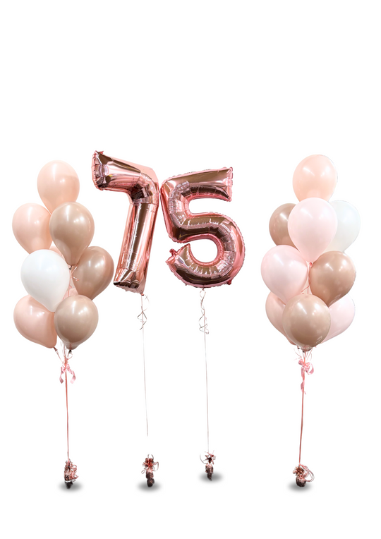 Birthday Package (discounted price)