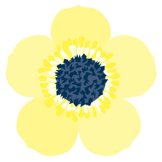 Daisy Flower Shaped Paper Placemats 8ct