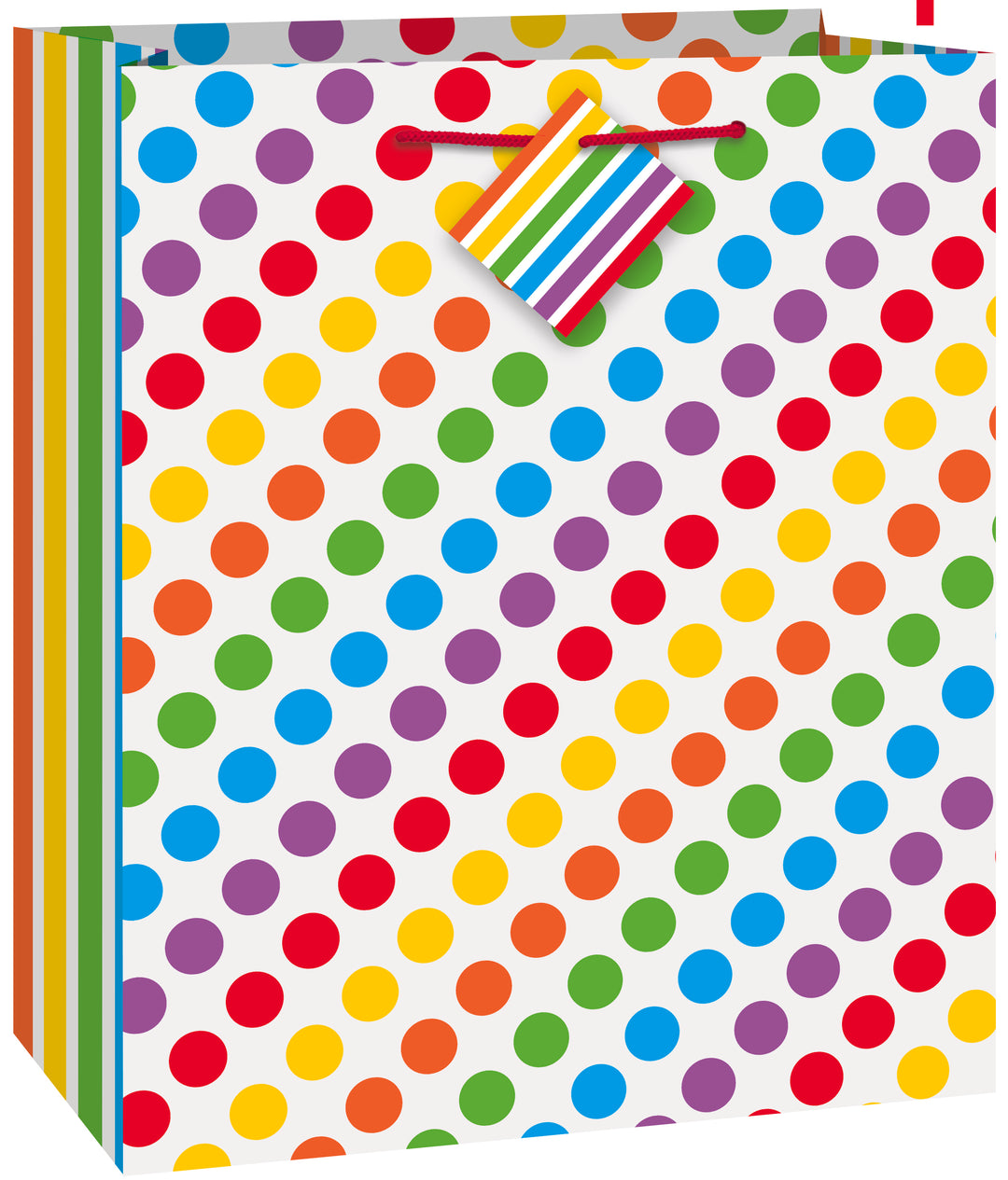 Rainbow Birthday Gift Bag (Medium)