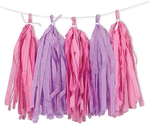 Fringe Tissue Paper Pink & Purple Tassel Garland