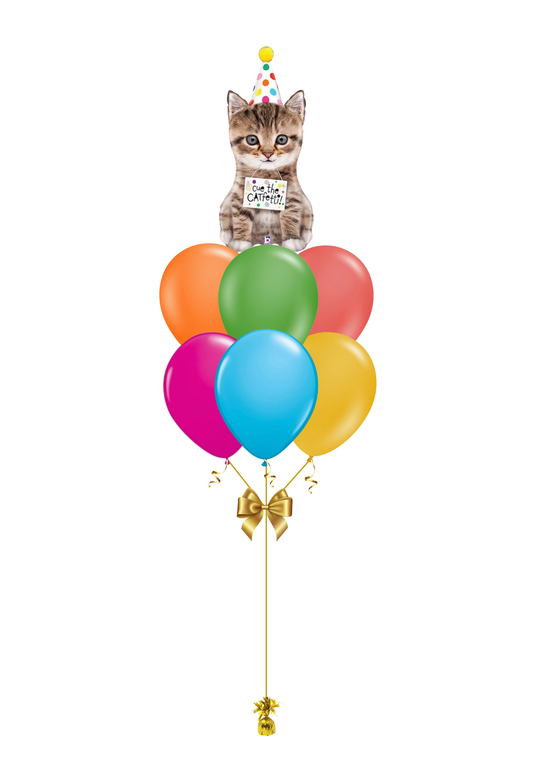 Cue the Catfetti Balloons