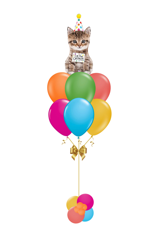 Cue the Catfetti Balloons