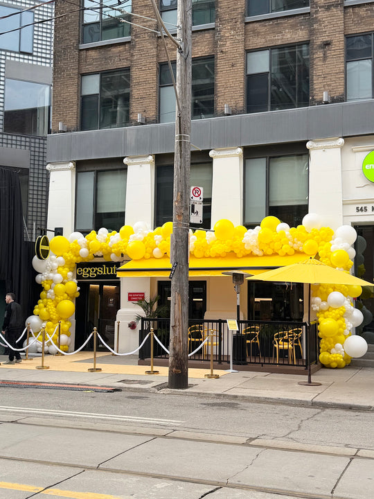 Egg Installation