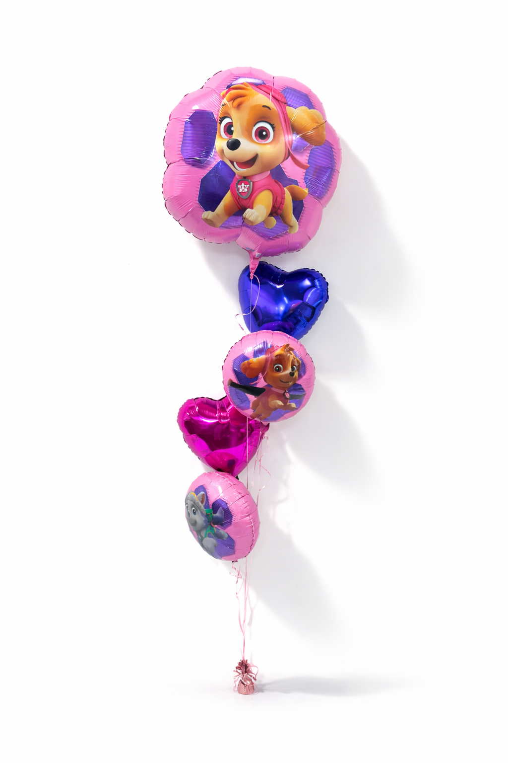 Skye paw patrol balloons