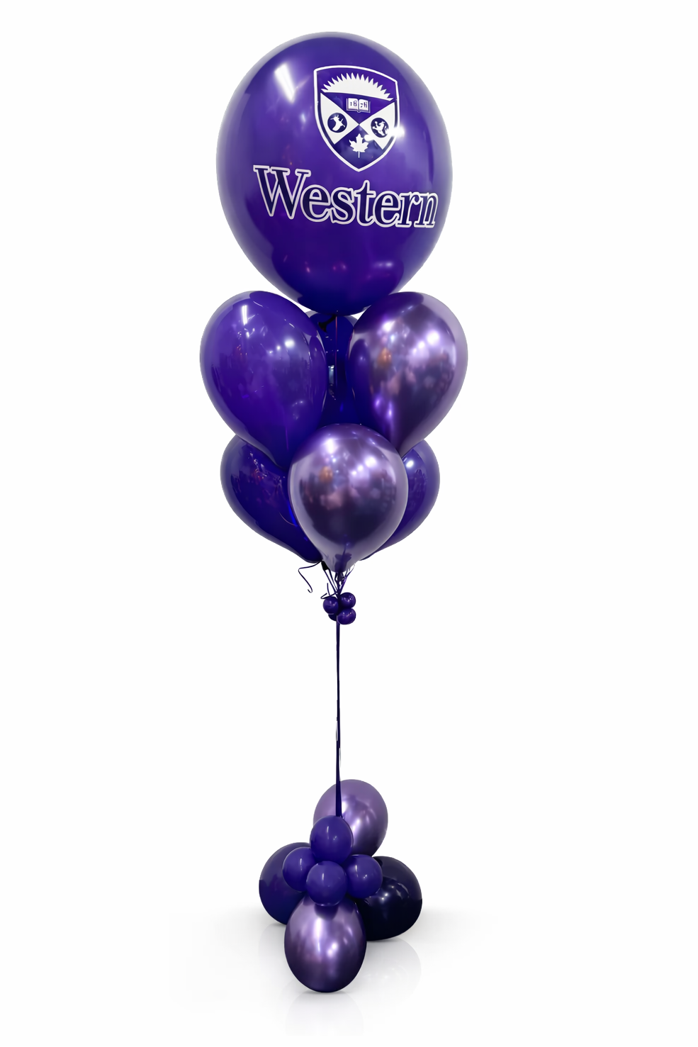 Purple balloons with 'Western' logo on a white background