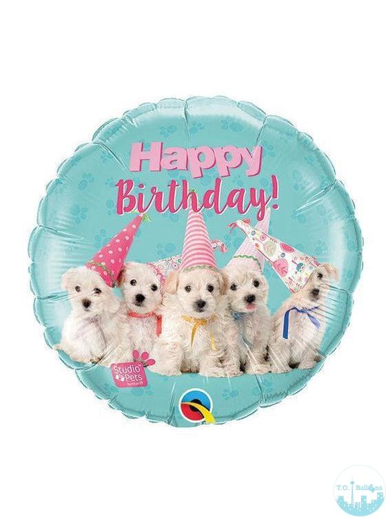 JUMBO BIRTHDAY ARRANGEMENT Balloons T.O. Balloons Puppy Party Hat 